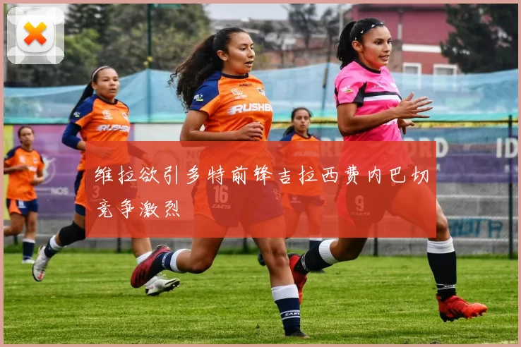 维拉欲引多特前锋吉拉西费内巴切竞争激烈