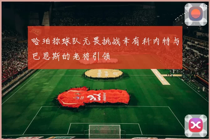 哈珀称球队无畏挑战幸有科内特与巴恩斯的老将引领